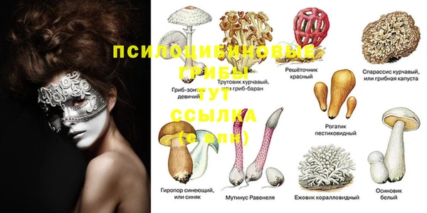 меф VHQ Магадан
