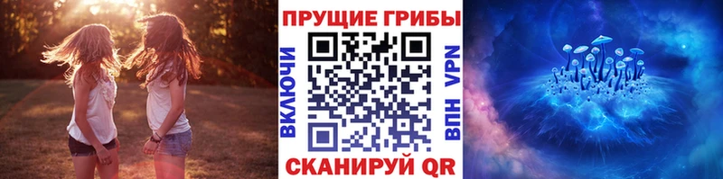 Псилоцибиновые грибы ЛСД  цены   Армавир 