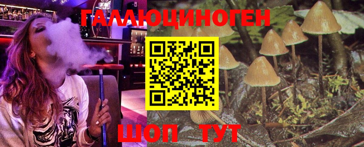 Псилоцибиновые грибы GOLDEN TEACHER  Вход с VPN  дарнет шоп  Армавир 